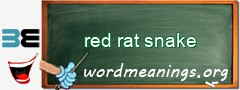 WordMeaning blackboard for red rat snake